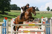 02_IMG_0031