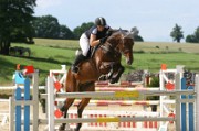 02_IMG_0070
