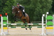 08_1_IMG_0027