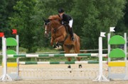08_1_IMG_0031