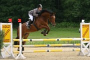 08_1_IMG_0036