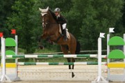 08_2_IMG_0005