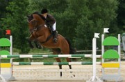 08_2_IMG_0007