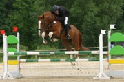 08_2_IMG_0014