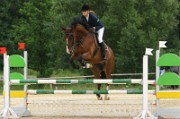 08_2_IMG_0018