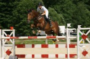 01_IMG_0008