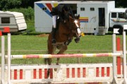 04_1_IMG_0036