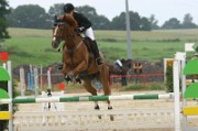 07_1_IMG_0049