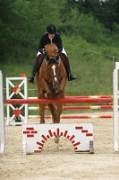 07_1_IMG_0051