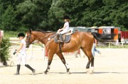 15_IMG_0035