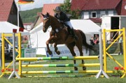 03_IMG_0007