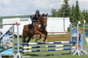 03_IMG_0008