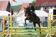 03_IMG_0041