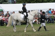 IMG_0019