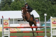 7_8_IMG_0040