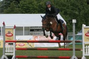 7_8_IMG_0044