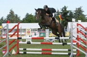 7_8_IMG_0050