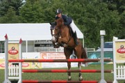 7_8_IMG_0053
