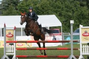 7_8_IMG_0066