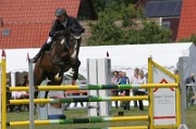 17_2_IMG_0003