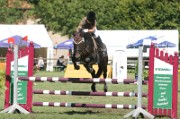 06_IMG_0011