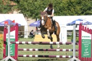 06_IMG_0015