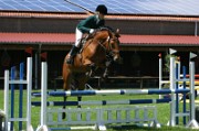 15_IMG_0028