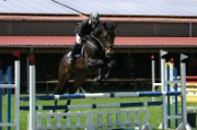 15_IMG_0041