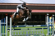 15_IMG_0051