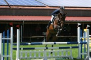 15_IMG_0053