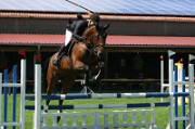 15_IMG_0055