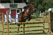 18_IMG_0015