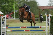 15_IMG_0051