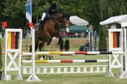 15_IMG_0059
