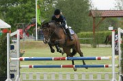 17_IMG_0020