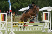 17_IMG_0037