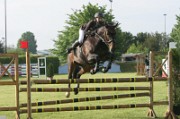 07_IMG_0012