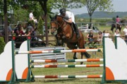 05_IMG_0008