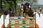 05_IMG_0041