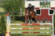 08_1_IMG_0006