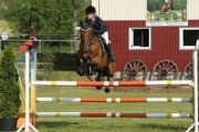 08_1_IMG_0007