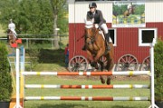 08_1_IMG_0017