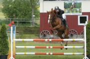 08_1_IMG_0021
