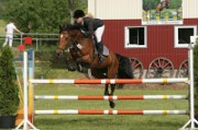 08_1_IMG_0035