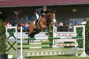 08_2_IMG_0015