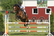08_2_IMG_0022
