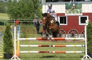 08_2_IMG_0036
