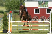 08_2_IMG_0046