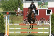 08_2_IMG_0050