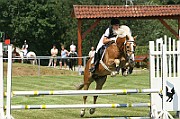 12_IMG_0002